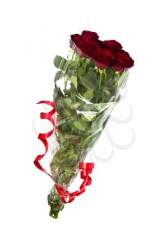 Beautiful red roses on a white background  