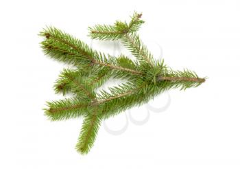 Christmas green framework isolated on white background 
