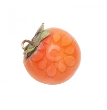 Persimmon Isolated on White Background 