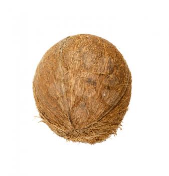 coconut isolated on white background 