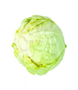 Green cabbage isolated on white background. 