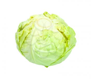Green cabbage isolated on white background. 