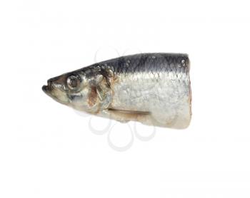 head salty herring on white background 