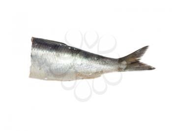 tail salty herring on white background 