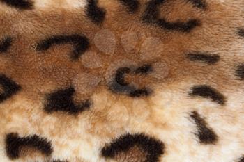 abstract texture of leopard skin 