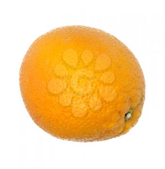 Orange isolated on white background 