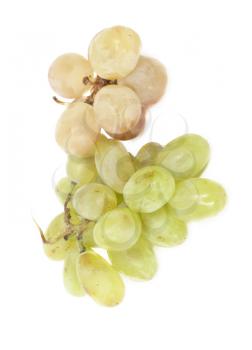 Fresh  grapes. Isolated on white 