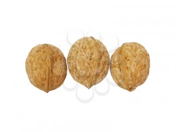 three circassian walnuts isolated on white 