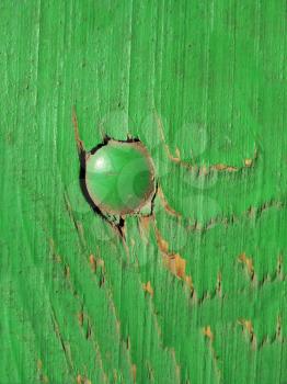 Old Green Wooden Background with One Bolt  