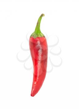 chili peppers on white background