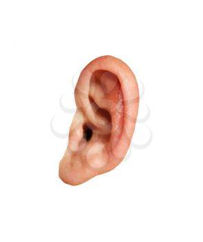 Closeup of a human ear on white background