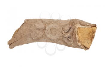 Birch logs isolated on the white background. 