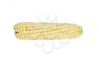 Corn isolated on white background 