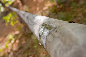 Leak of water from a crack in an old rusty pipe 
