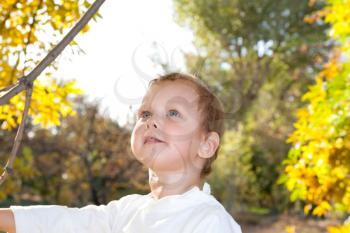 portrait of a boy in autumn