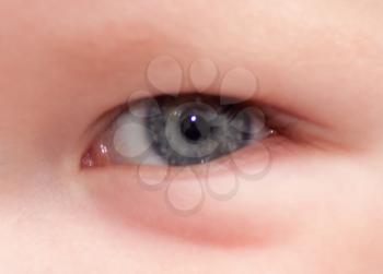 infant eye macro