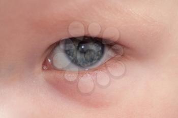 infant eye macro
