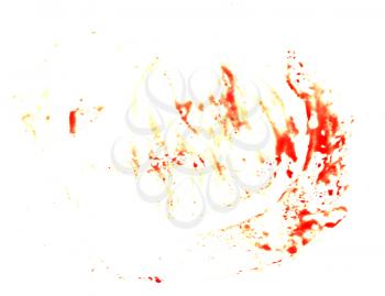 blood imprint on white