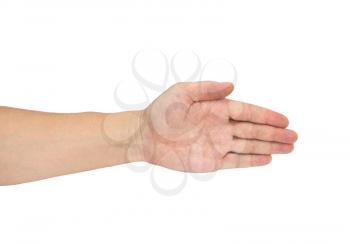hand isolated on a white background 