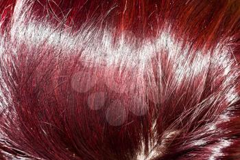 abstract hair background 