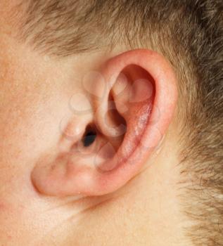 Closeup of a human ear 