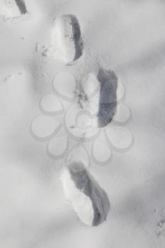 Boot sole prints in snow with frozen water making a turn with selective focus 