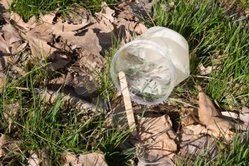 plastic cup of ice cream on the nature of a waste