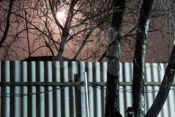 night photography. Moon over the fence and trees