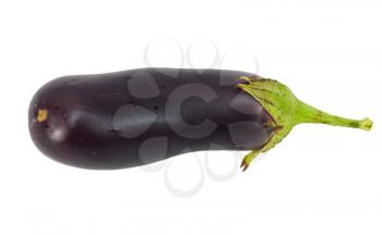 aubergine on a white background