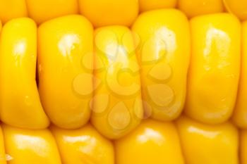 corn as background. macro