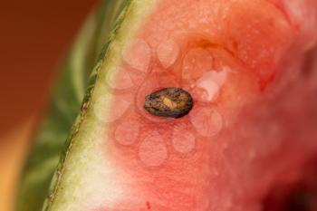 Macro shot of a watermelon with its seeds