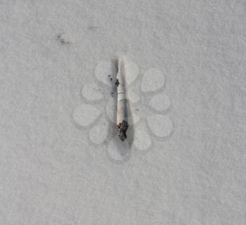 Cigarette in the snow