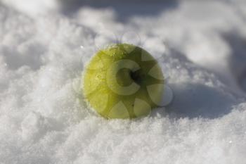 green apple in the snow