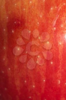 red apple peel as a backdrop. macro