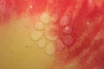 red apple peel as a backdrop. macro