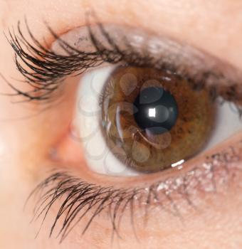 Macro image of human eye