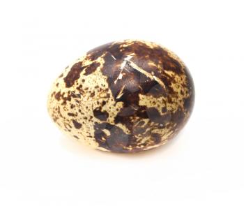 quail eggs on a white background. macro