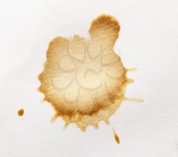 Coffee spots isolated on a white background.