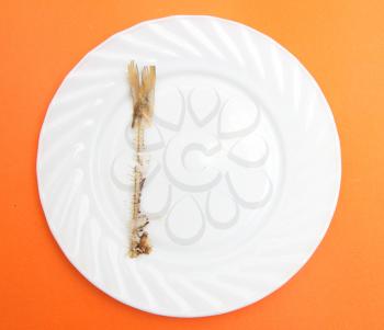 skeleton of fried fish on a plate on the orange background
