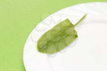 sorrel on a plate on a green background