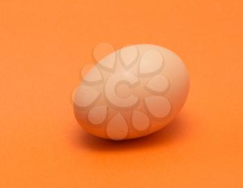 fresh egg on orange background