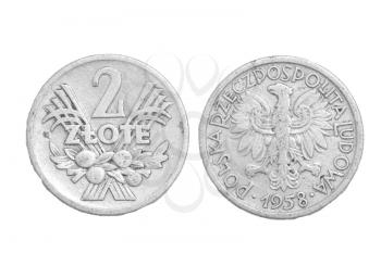 Polish coin on a white background