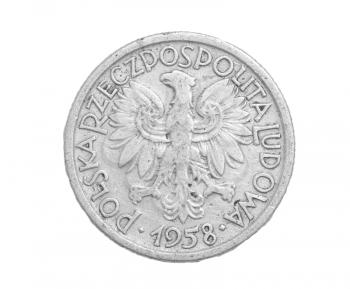 Polish coin on a white background
