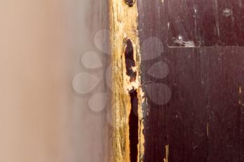 background from old antique wood