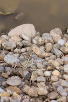 stones near the dirty river in nature