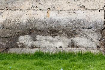 grass near the old concrete wall