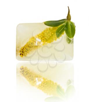 yellow flower in ice cube on a white background