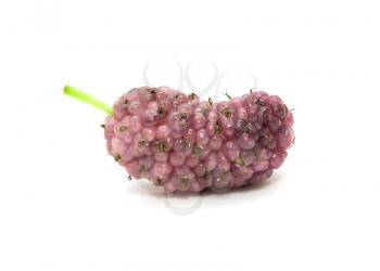 mulberry berry on a white background