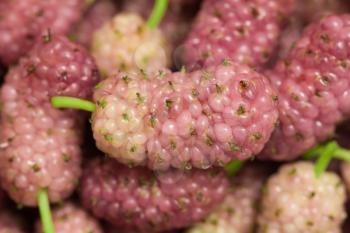 mulberry berry as background