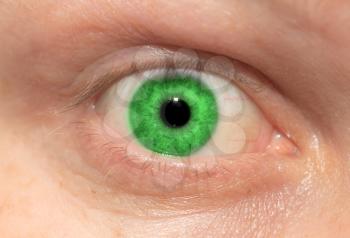 green eyes as a backdrop. macro